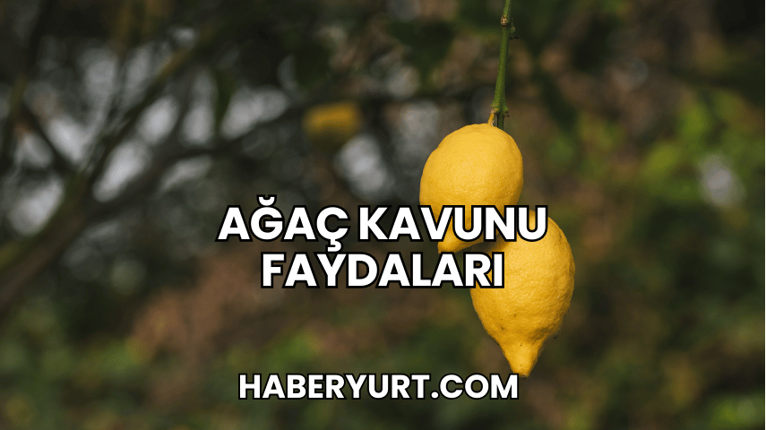 Ağaç Kavunu Faydaları