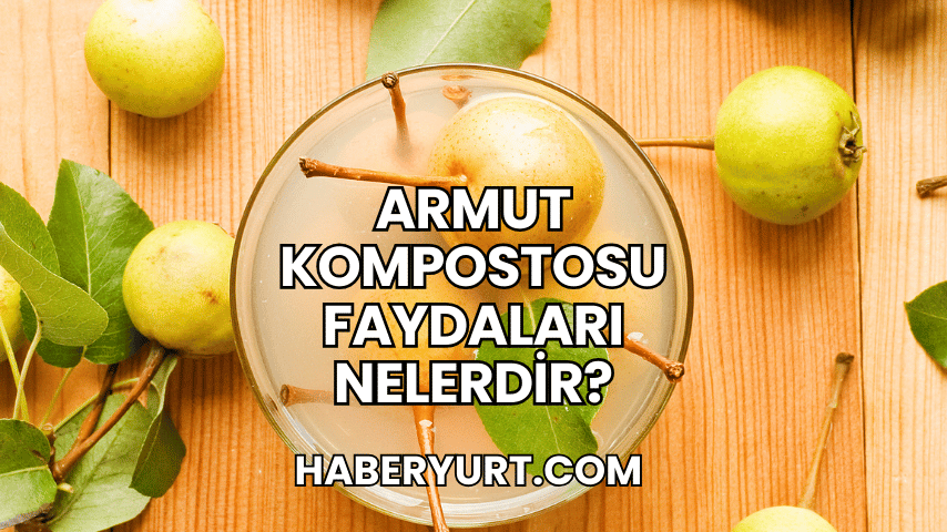 Armut Kompostosu Faydaları Nelerdir?