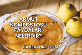 Armut Kompostosu Faydaları Nelerdir?