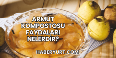 Armut Kompostosu Faydaları Nelerdir?