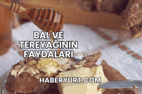 Bal ve Tereyağının Faydaları