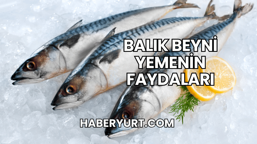 Balık Beyni Yemenin Faydaları