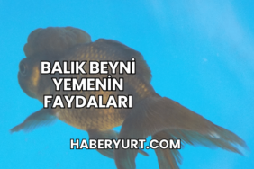 Balık Beyni Yemenin Faydaları