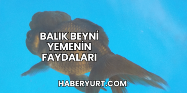 Balık Beyni Yemenin Faydaları
