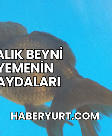 Balık Beyni Yemenin Faydaları