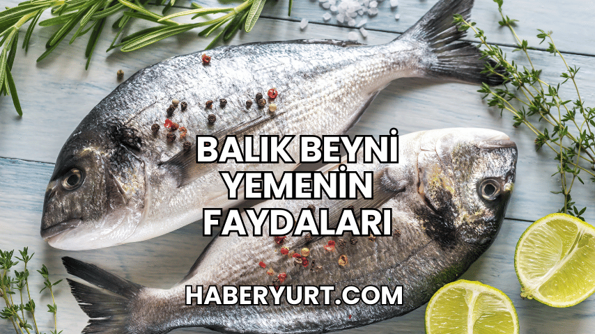 Balık Beyni Yemenin Faydaları