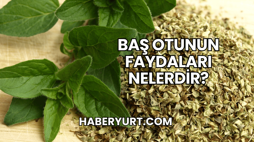 Baş Otunun Faydaları Nelerdir?