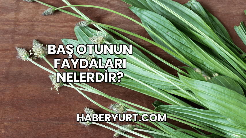 Baş Otunun Faydaları Nelerdir?