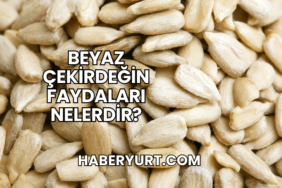 Beyaz Çekirdeğin Faydaları Nelerdir?