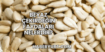 Beyaz Çekirdeğin Faydaları Nelerdir?