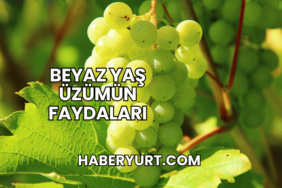 Beyaz Yaş Üzümün Faydaları