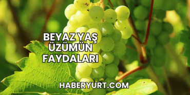 Beyaz Yaş Üzümün Faydaları
