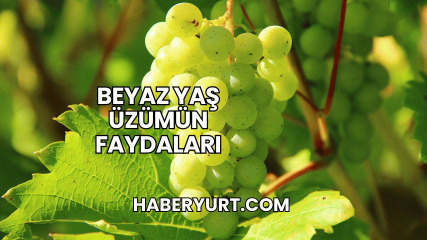 Beyaz Yaş Üzümün Faydaları