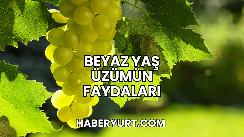 Beyaz Yaş Üzümün Faydaları