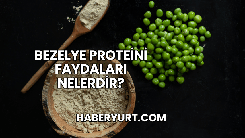 Bezelye Proteini Faydaları Nelerdir?