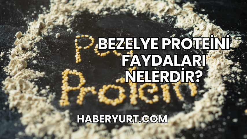 Bezelye Proteini Faydaları Nelerdir?