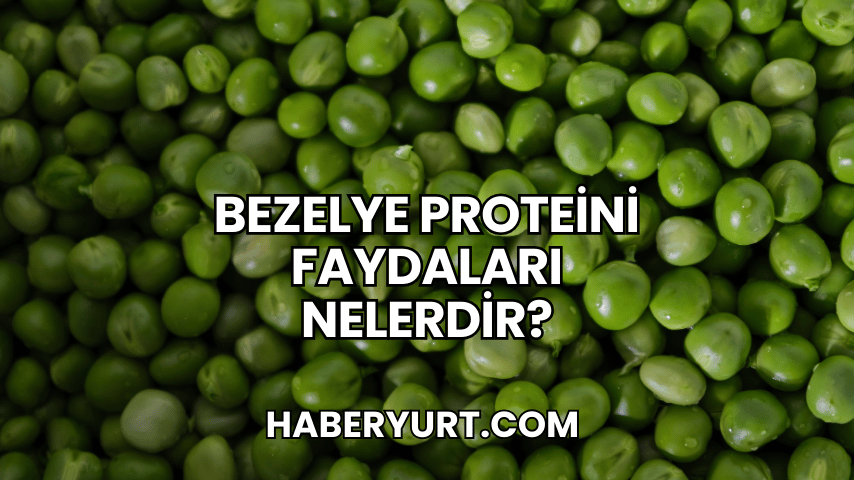 Bezelye Proteini Faydaları Nelerdir?