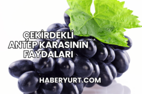 Çekirdekli Antep Karasının Faydaları
