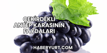 Çekirdekli Antep Karasının Faydaları
