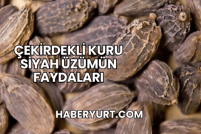 Çekirdekli Kuru Siyah Üzümün Faydaları