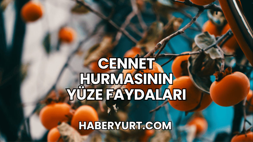 Cennet Hurmasının Yüze Faydaları