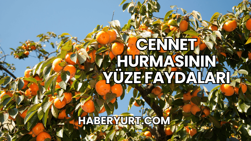 Cennet Hurmasının Yüze Faydaları