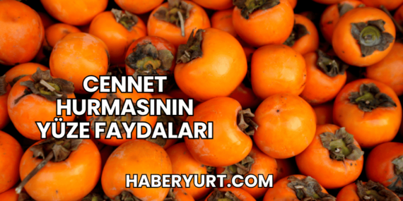 Cennet Hurmasının Yüze Faydaları