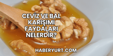 Ceviz ve Bal Karışımı Faydaları Nelerdir?
