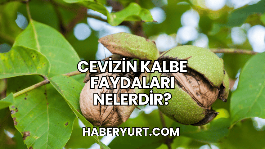 Cevizin Kalbe Faydaları Nelerdir?
