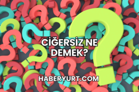 Ciğersiz Ne Demek?
