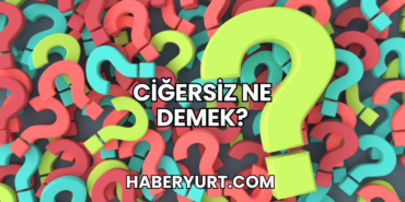 Ciğersiz Ne Demek?