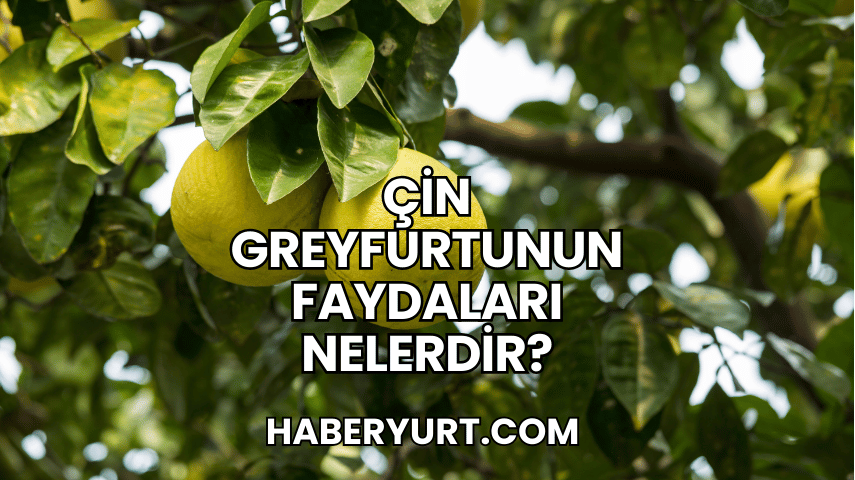 Çin Greyfurtunun Faydaları Nelerdir?
