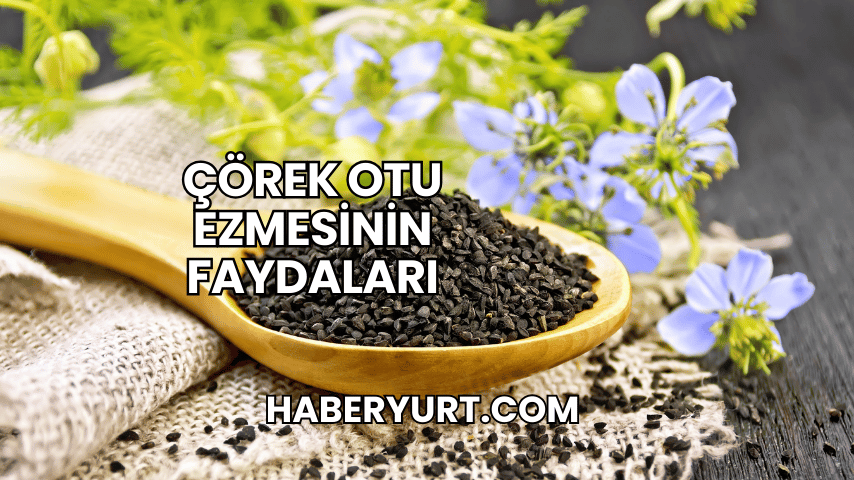 Çörek Otu Ezmesinin Faydaları