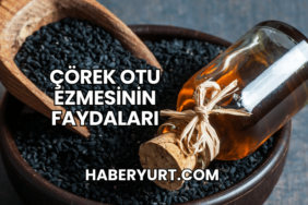 Çörek Otu Ezmesinin Faydaları