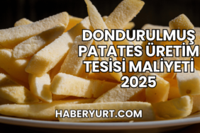 Dondurulmuş Patates Üretim Tesisi Maliyeti 2025