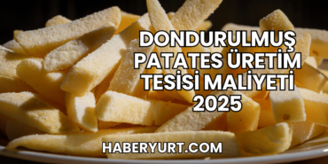 Dondurulmuş Patates Üretim Tesisi Maliyeti 2025
