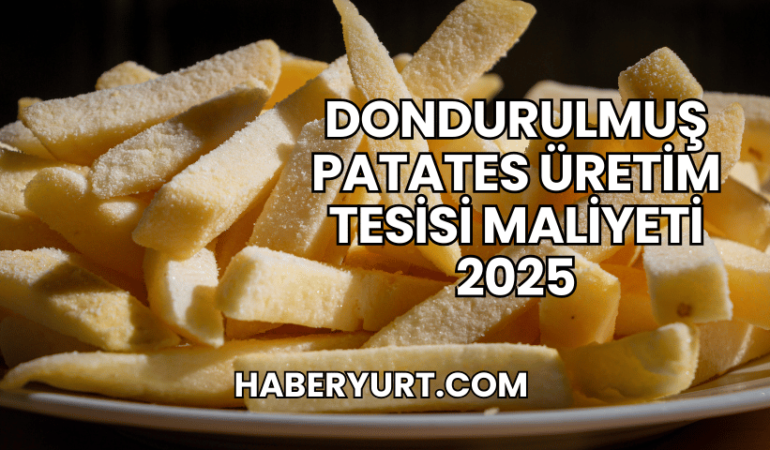 Dondurulmuş Patates Üretim Tesisi Maliyeti 2025
