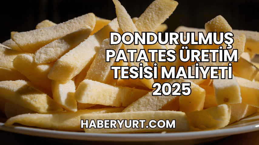 Dondurulmuş Patates Üretim Tesisi Maliyeti 2025