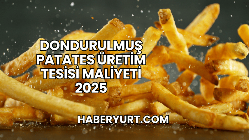 Dondurulmuş Patates Üretim Tesisi Maliyeti 2025