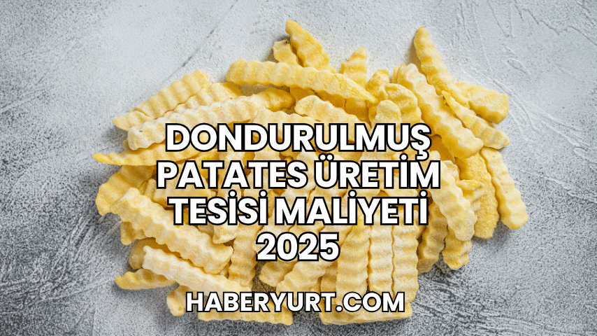 Dondurulmuş Patates Üretim Tesisi Maliyeti 2025