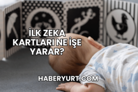 İlk Zeka Kartları Ne İşe Yarar?