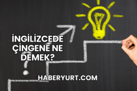 İngilizcede Çingene Ne Demek?