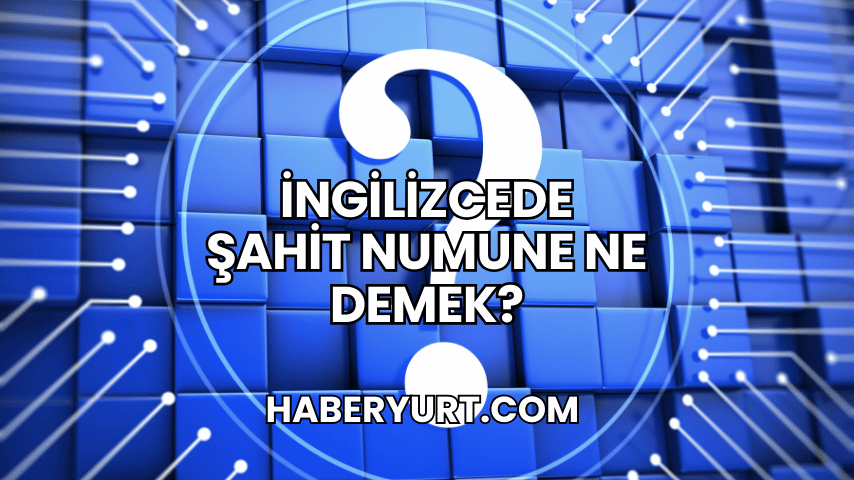 İngilizcede Şahit Numune Ne Demek?