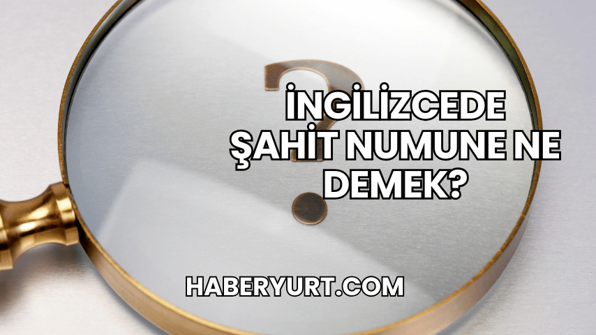 İngilizcede Şahit Numune Ne Demek?
