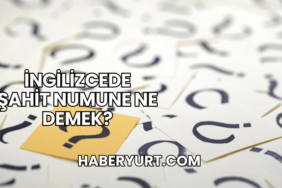 İngilizcede Şahit Numune Ne Demek?