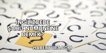 İngilizcede Şahit Numune Ne Demek?
