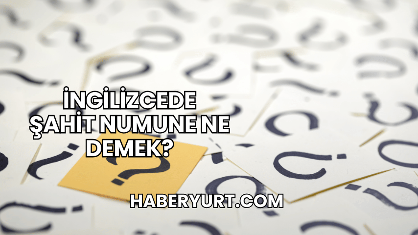 İngilizcede Şahit Numune Ne Demek?