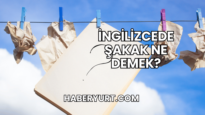 İngilizcede Şakak Ne Demek?