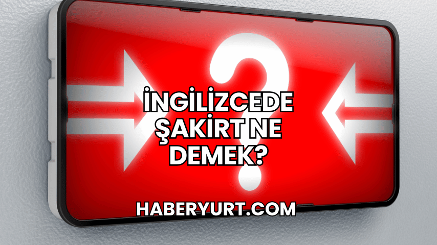 İngilizcede Şakirt Ne Demek?