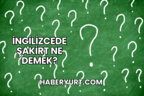 İngilizcede Şakirt Ne Demek?